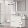 Mueble de baño en conjunto Venecia, dos colores disponibles incluye encimera de porcelana y espejo 2 cajones